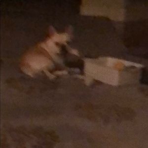 Meet your Posher, Catherine